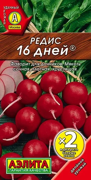 Редис 16 дней