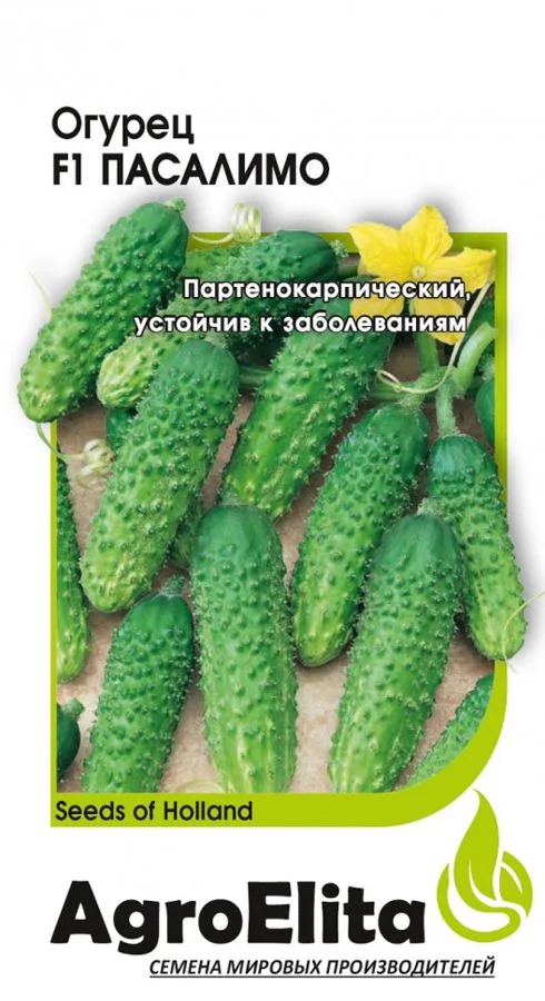 Огурец Пасалимо F1