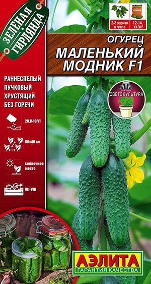 Семена: Огурец Маленький модник F1