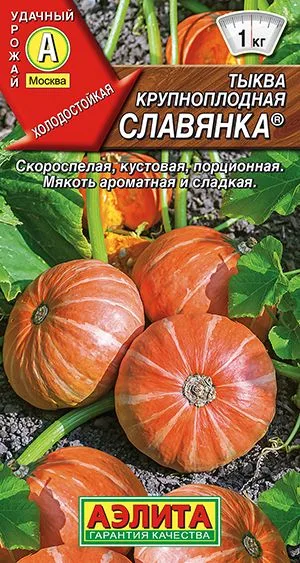 Тыква крупноплодная Славянка
