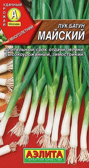 Лук батун Майский