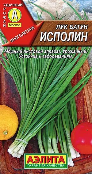 Лук батун Исполин
