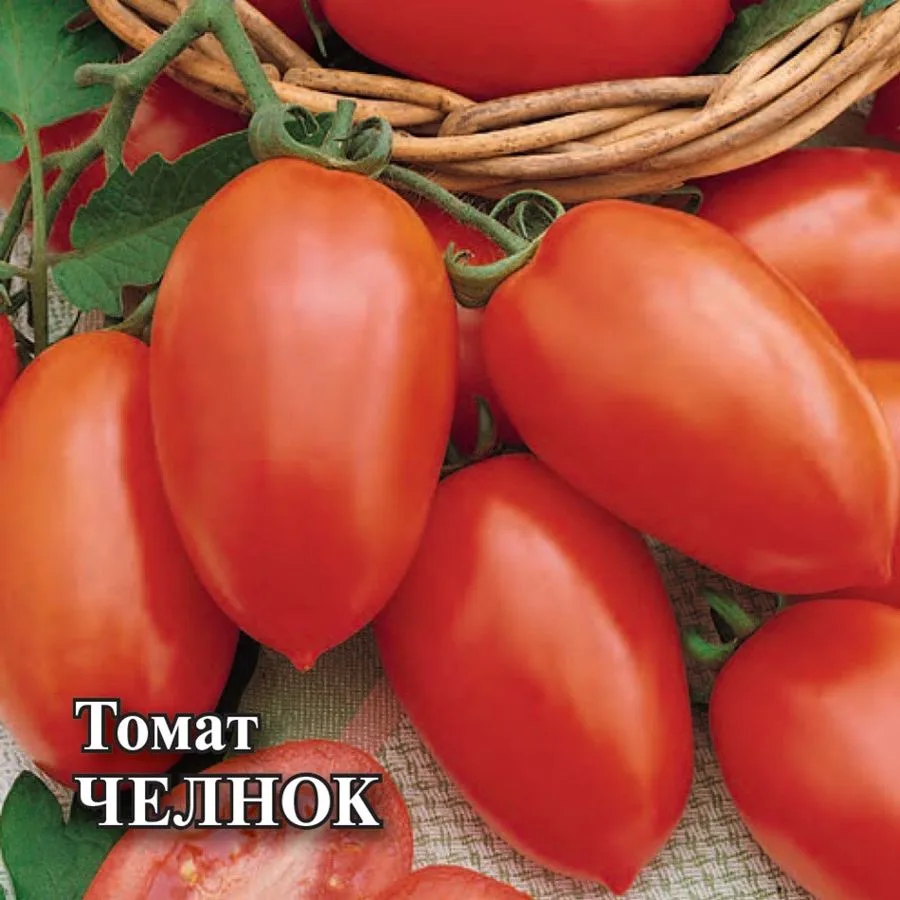 Томат Челнок
