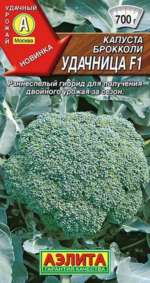 Капуста брокколи Удачница F1