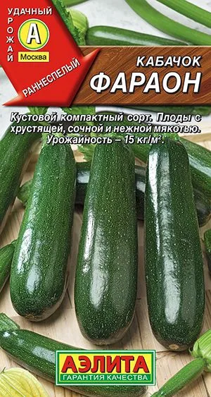 Кабачок цуккини Фараон