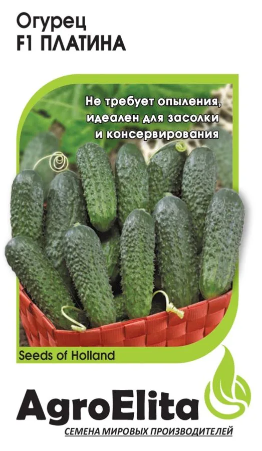 Огурец Платина F1