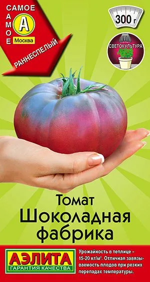 Томат Шоколадная фабрика
