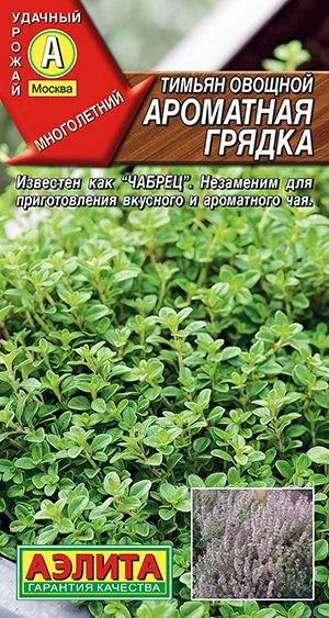 Пряные травы Тимьян овощной Ароматная грядка