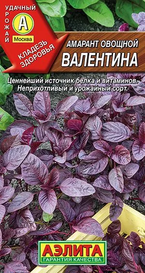 Пряные травы Амарант овощной Валентина