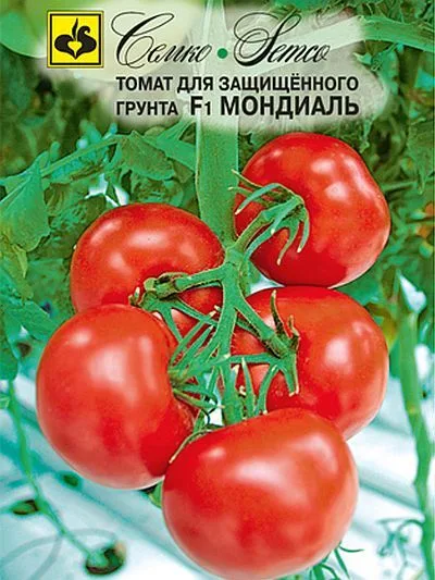 Томат Мондиаль F1