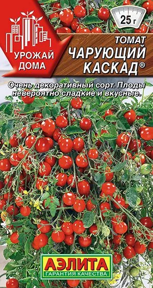 Томат Чарующий каскад