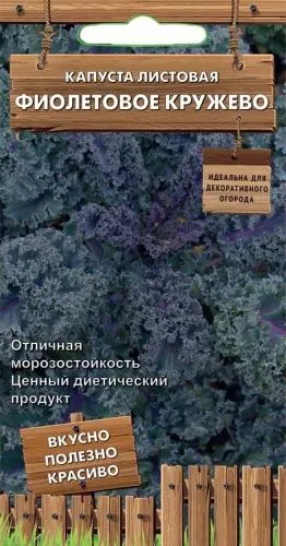 Капуста листовая Фиолетовое кружево