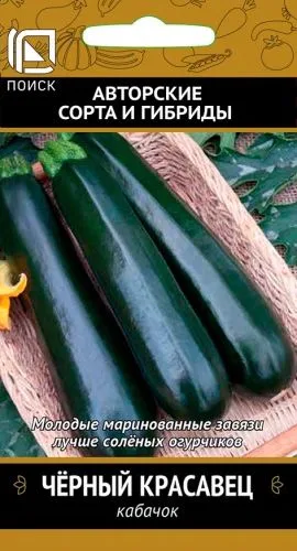 Кабачок Чёрный красавец