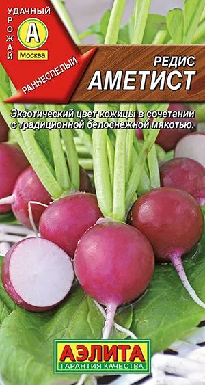 Редис Аметист