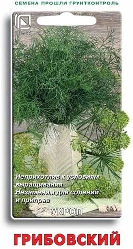 Укроп Грибовский