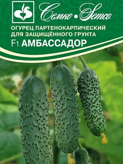 Огурец Амбассадор F1