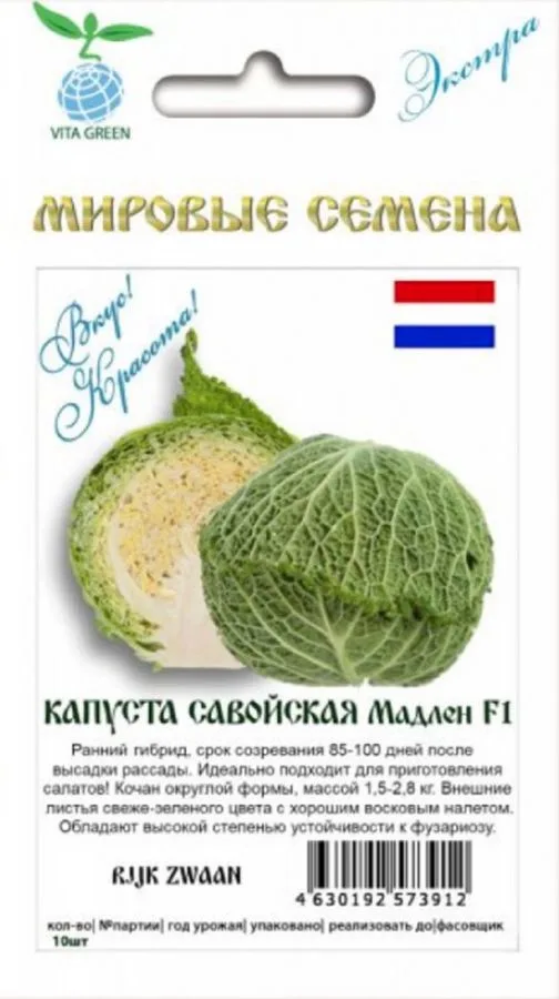 Капуста савойская Мадлен F1