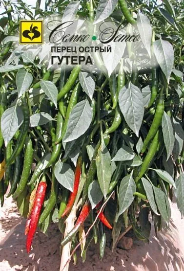 Перец острый Гутера