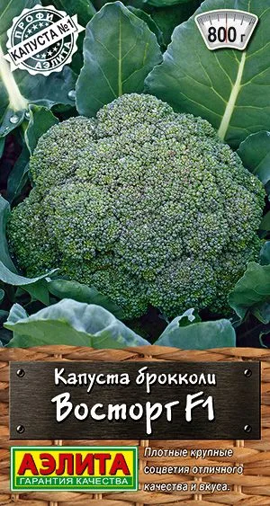 Капуста брокколи Восторг F1