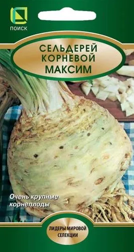 Сельдерей корневой Максим