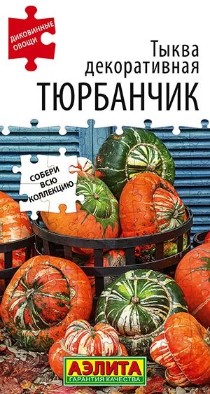 Тыква декоративная Тюрбанчик