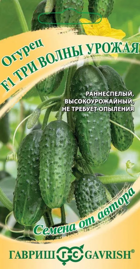 Огурец Три волны урожая F1