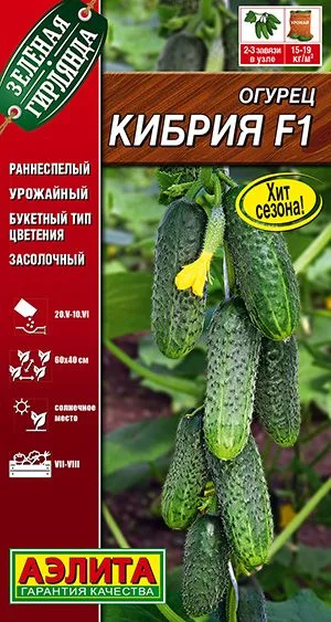 Семена: Огурец Кибрия F1