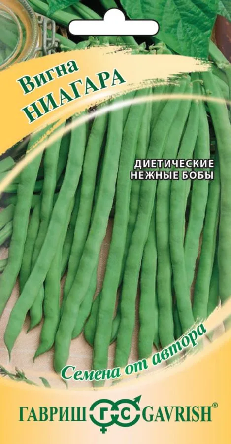 Фасоль Ниагара