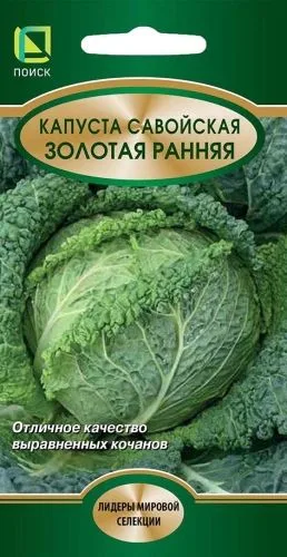 Капуста савойская Золотая ранняя