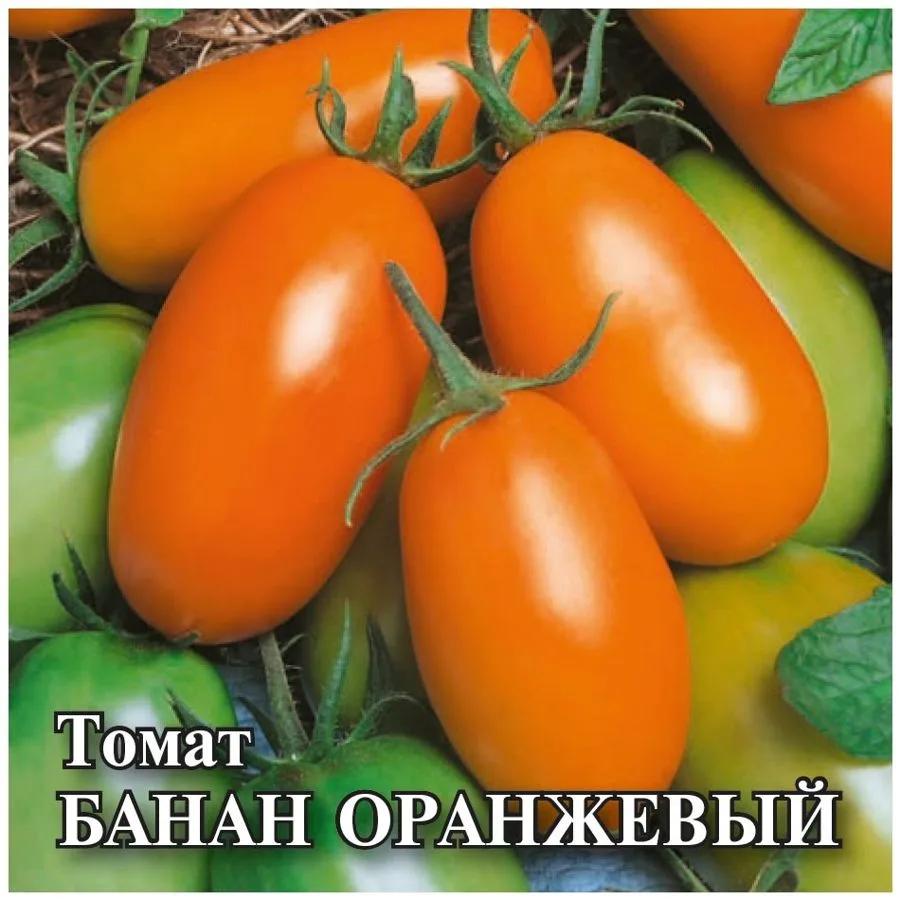 Семена: Томат Банан оранжевый