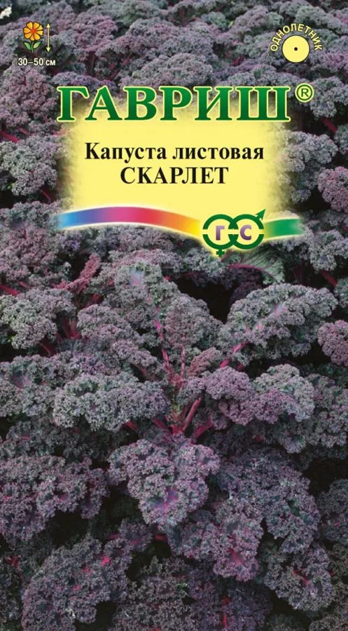 Капуста листовая Скарлет