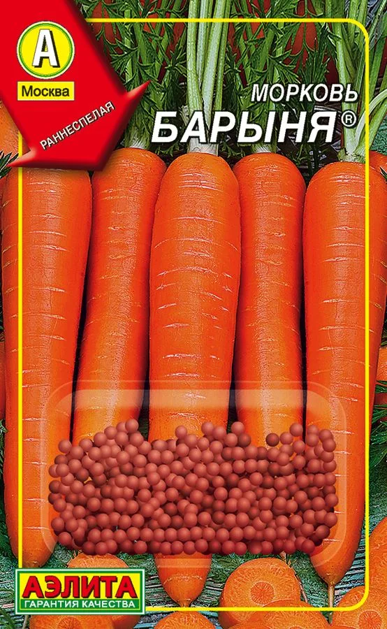 Морковь Барыня