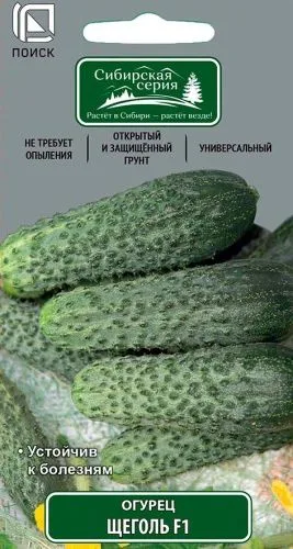 Огурец Щеголь F1