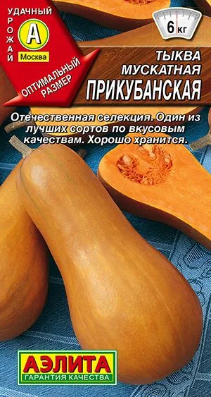 Тыква мускатная Прикубанская
