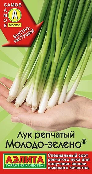 Лук репчатый Молодо-зелено ®