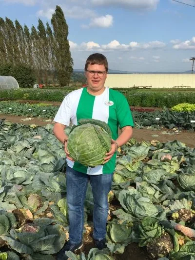 Семена: Капуста белокочанная Доброводская