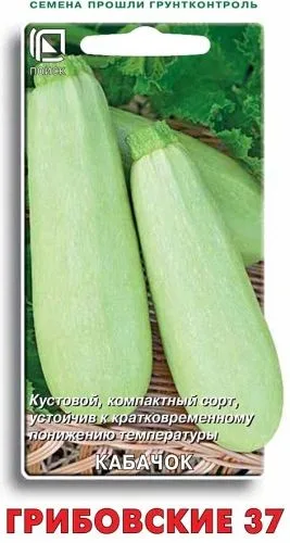 Семена: Кабачок Грибовские 37