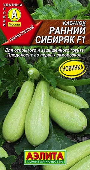 Кабачок цуккини Ранний сибиряк F1