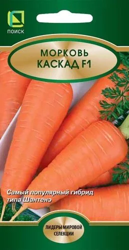 Морковь Каcкад F1