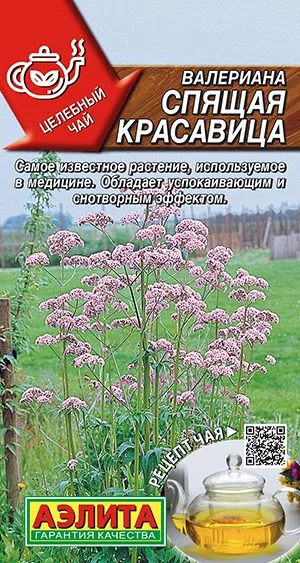 Лекарственные травы Валериана Спящая красавица