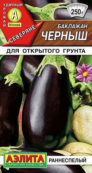 Баклажан Черныш