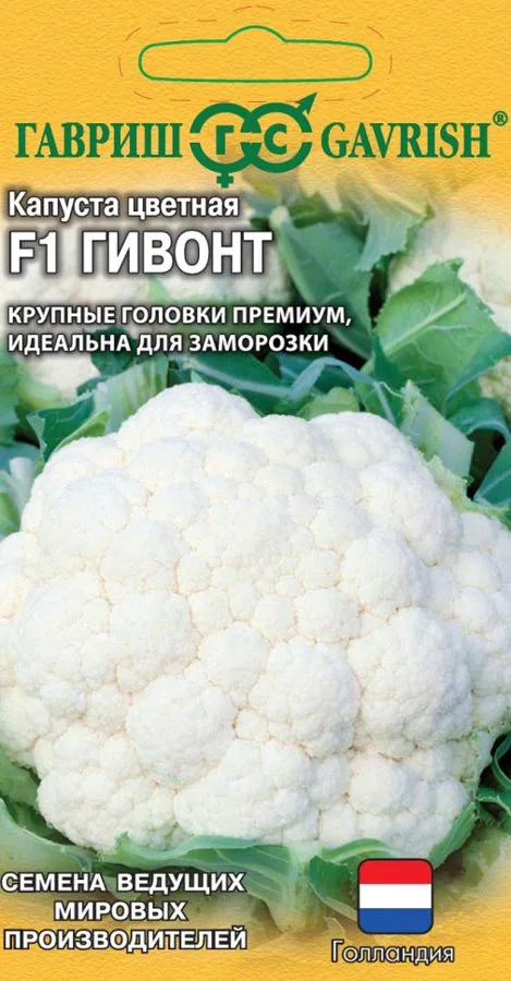 Капуста цветная Гивонт F1