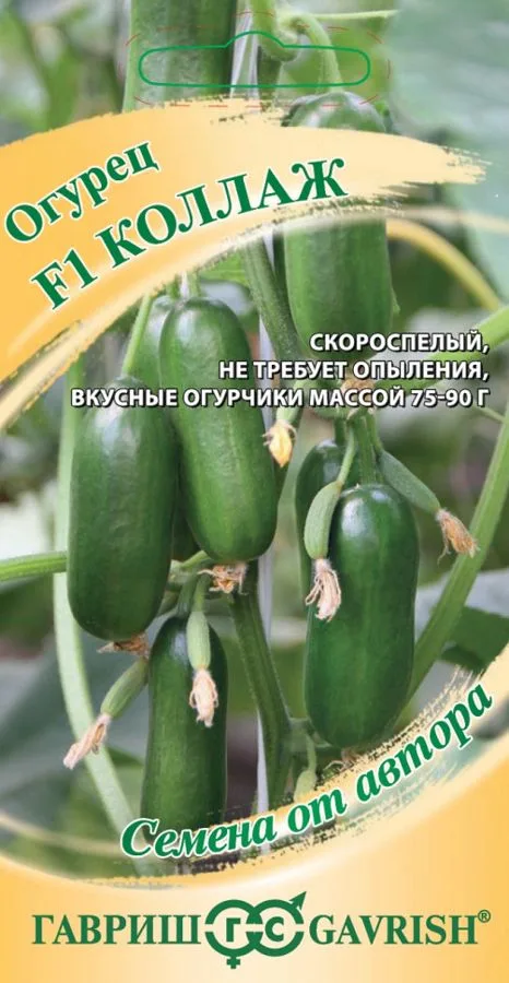 Семена: Огурец Коллаж F1