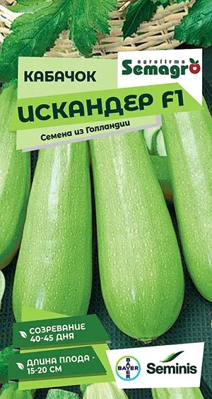 Семена: Кабачок Искандер F1