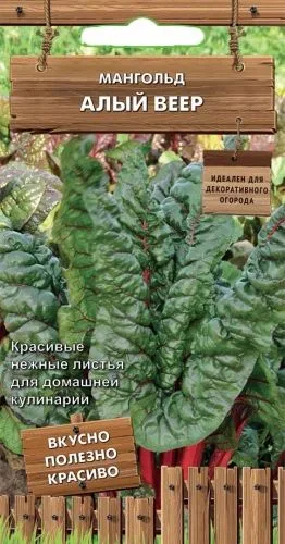 Салат Мангольд Алый веер