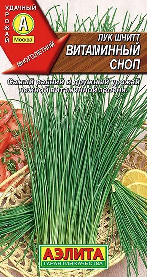 Лук шнитт Витаминный сноп ®