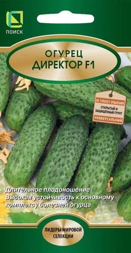 Огурец Директор F1