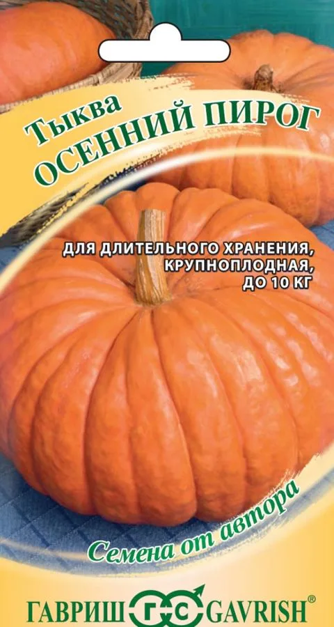 Семена: Тыква Осенний пирог