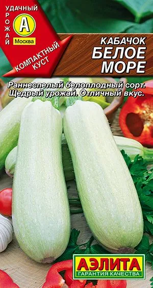 Кабачок белоплодный Белое море