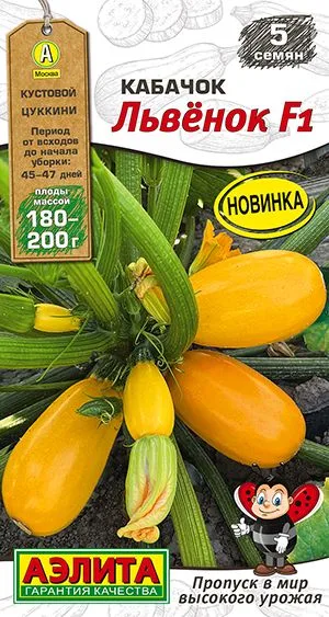 Кабачок цуккини Львёнок F1
